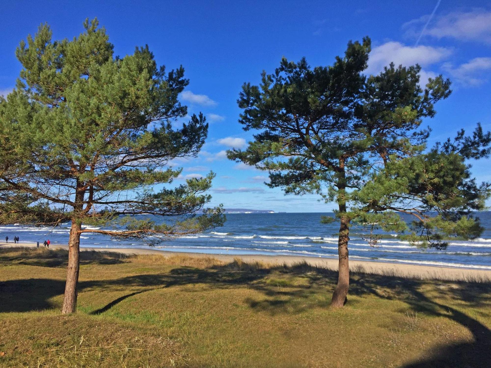 Apartment Strandidyll In - 05 Mit Meerblick